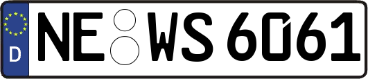 NE-WS6061