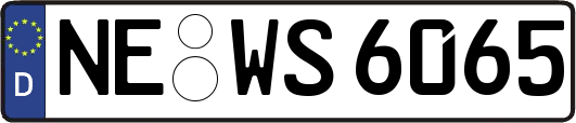 NE-WS6065