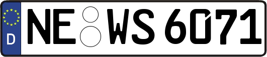 NE-WS6071