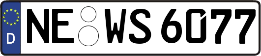 NE-WS6077