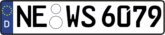 NE-WS6079