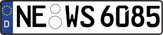 NE-WS6085