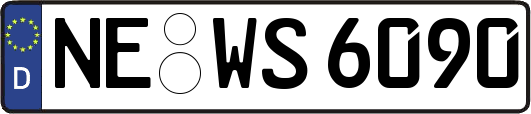 NE-WS6090