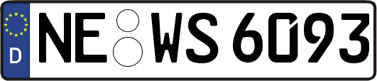 NE-WS6093
