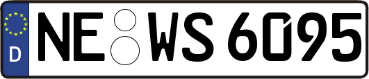 NE-WS6095