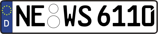 NE-WS6110