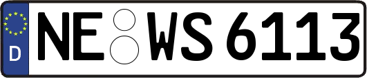 NE-WS6113