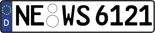 NE-WS6121