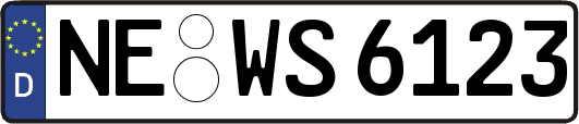 NE-WS6123
