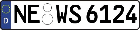 NE-WS6124