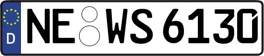 NE-WS6130