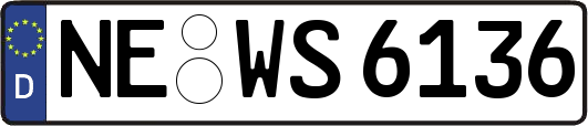 NE-WS6136