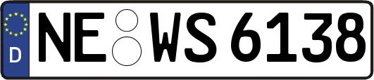 NE-WS6138