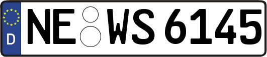 NE-WS6145