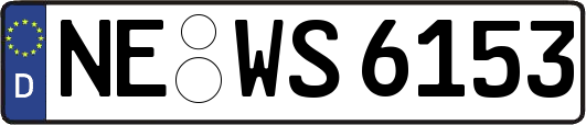 NE-WS6153