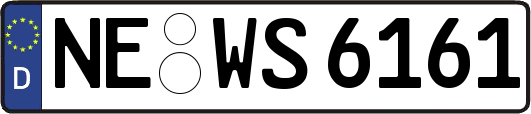 NE-WS6161