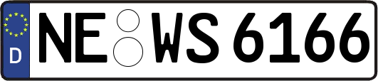 NE-WS6166