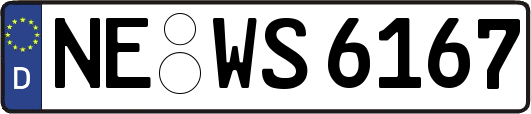 NE-WS6167