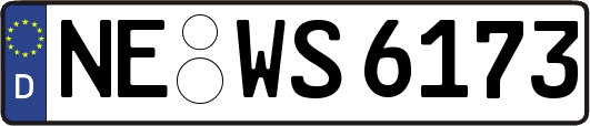 NE-WS6173