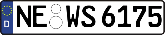 NE-WS6175