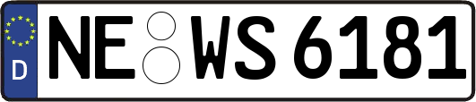 NE-WS6181