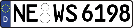NE-WS6198