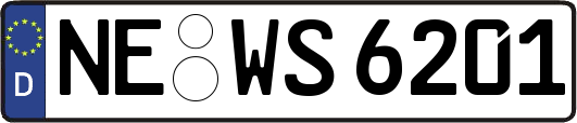 NE-WS6201