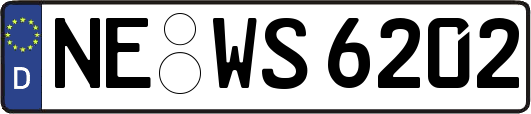NE-WS6202