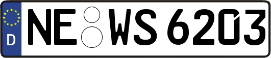 NE-WS6203