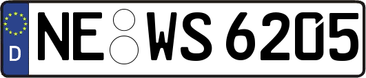 NE-WS6205