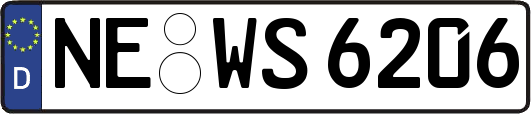 NE-WS6206