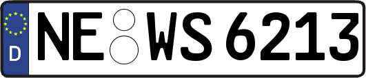 NE-WS6213