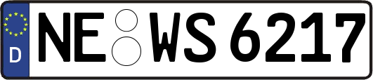 NE-WS6217