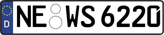NE-WS6220