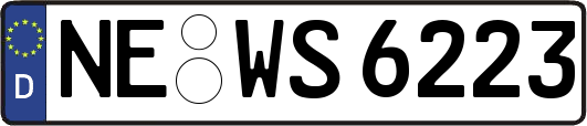 NE-WS6223
