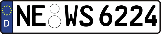 NE-WS6224