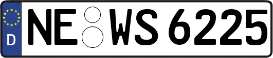 NE-WS6225
