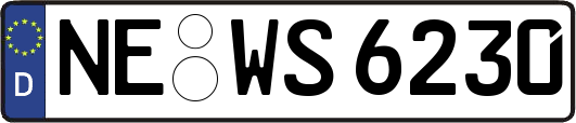 NE-WS6230