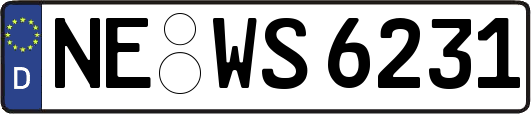 NE-WS6231