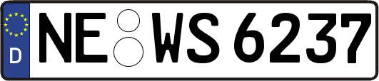 NE-WS6237
