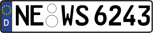 NE-WS6243