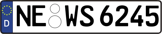 NE-WS6245
