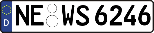 NE-WS6246