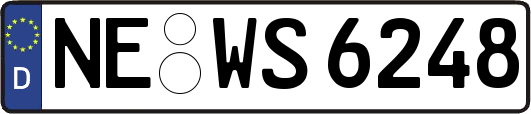 NE-WS6248