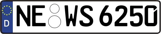 NE-WS6250