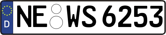 NE-WS6253