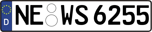 NE-WS6255