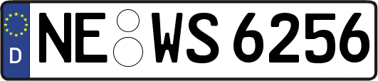 NE-WS6256