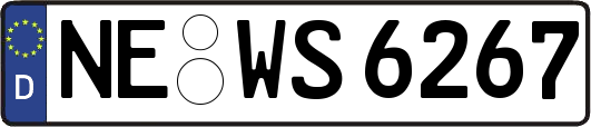 NE-WS6267