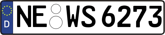 NE-WS6273